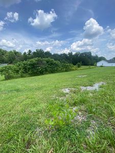13 Westwood Dr, London, KY, 40741