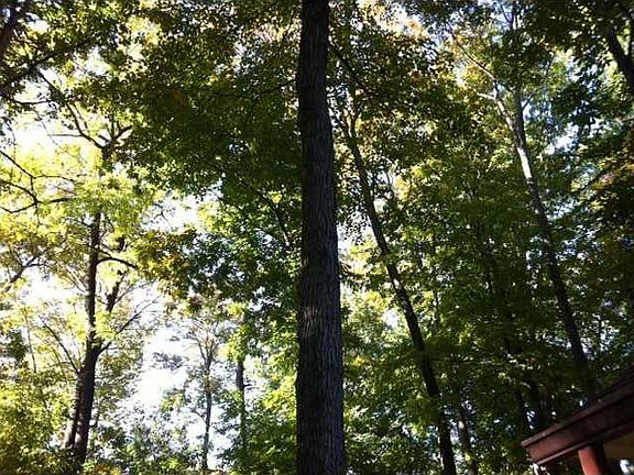 5th image of 7421 W Wood Stream Dr