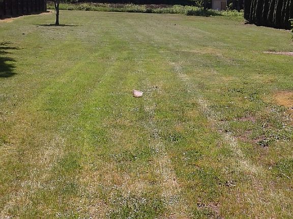 mid lot looking south