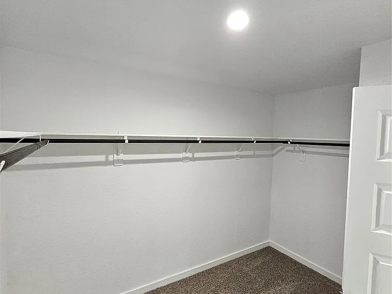 30018 Foxtail Pine Ct — Photo 10