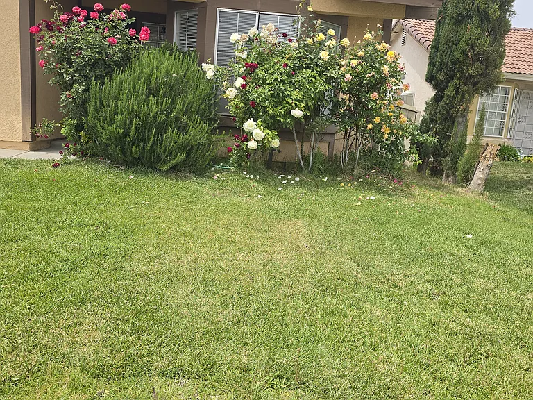 36851 Goldenview Way — Photo 2