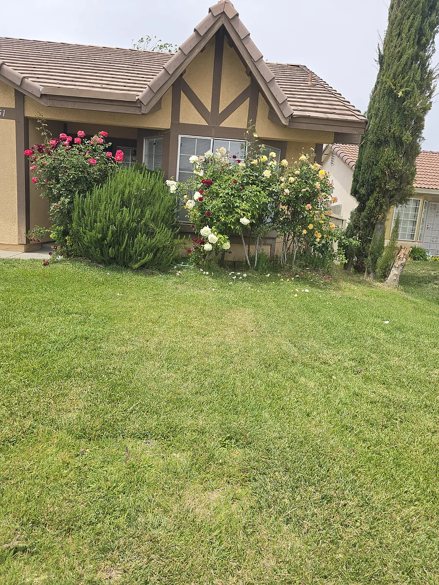 Building Photo - 36851 Goldenview Way