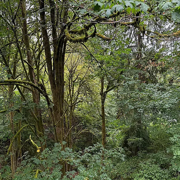 1714 Evergreen Park Ct SW — Photo 13