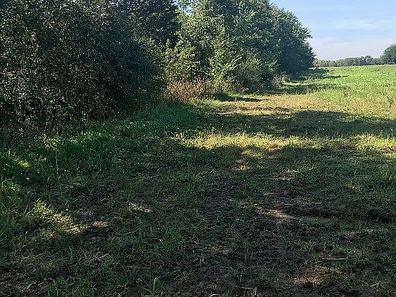 Looking to the West.