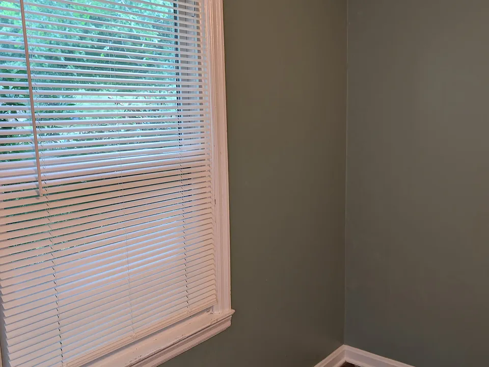 437 Linden Cir