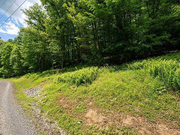 5th image of LOT 21 Trailwood Cir