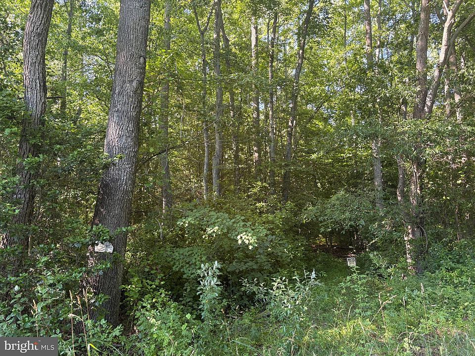 2nd image of 0 Mill Pond Rd