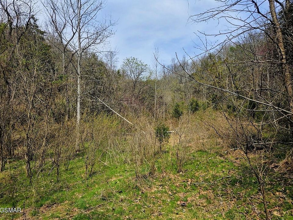 1st image of 0 McAmis Hollow Rd