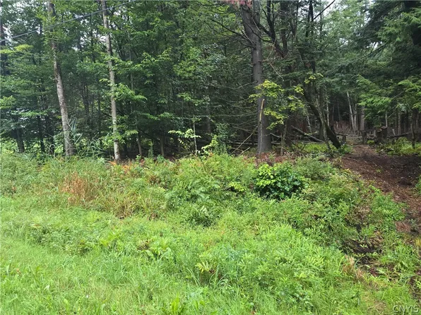 Burton Rd Lot 7, Camden, NY 13316