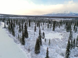 B1 L4 Denali Jack River Cyn, Cantwell, AK 99729