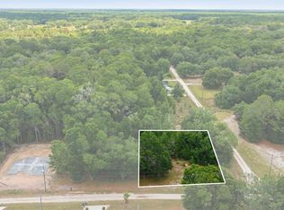 SW 131st Ter Lot 20, Dunnellon, FL 34432