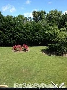 Backyard privacy
