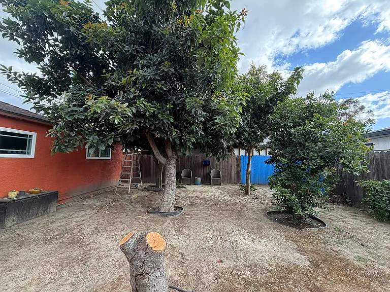 11619 Muriel Dr #B — Photo 10