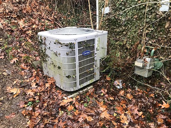 4th image of 1530 Alder Dr
