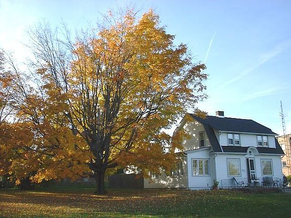 view from street corner