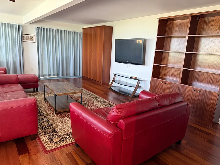 Partial view of living room showing leather furniture, Murphy bed, bookshelf, TV and stand