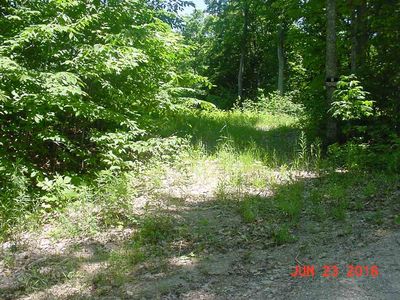 320 Foster Woods Rd, Petoskey, MI, 49770