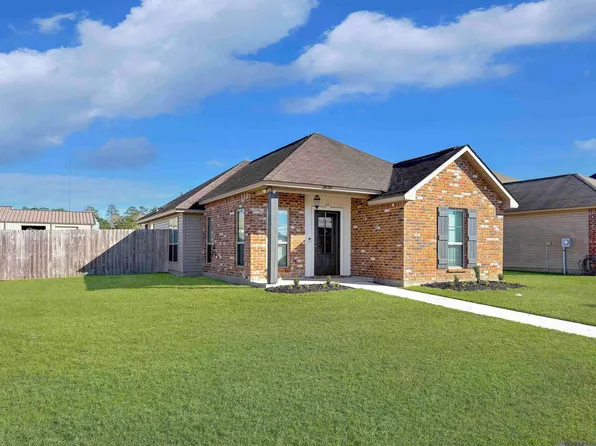 28350 Lake Borgne Dr, Livingston, LA 70754