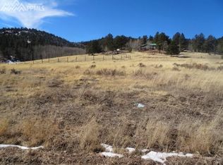 425 Arapahoe Trl, Lake George, CO 80827