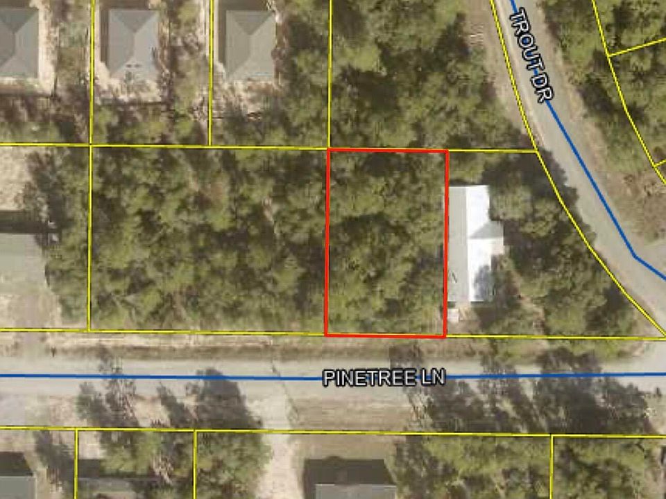 2nd image of Pinetree Ln