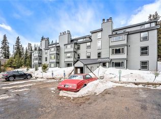 9366 Fall River Rd UNIT 306, Idaho Springs, CO 80452