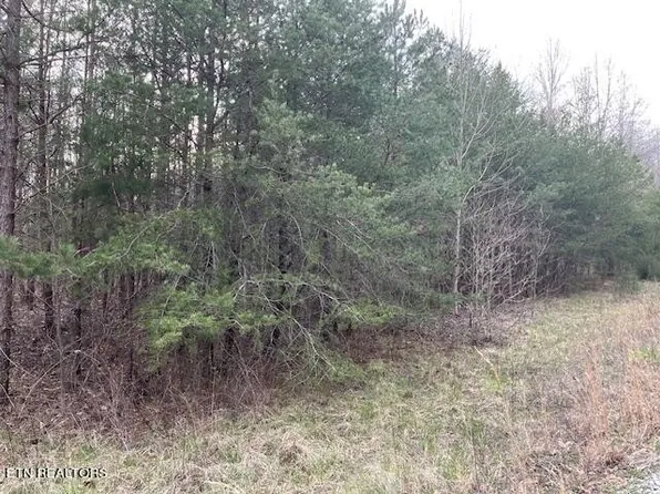 0 Deep Branch Ln #341, Wilder, TN 38589