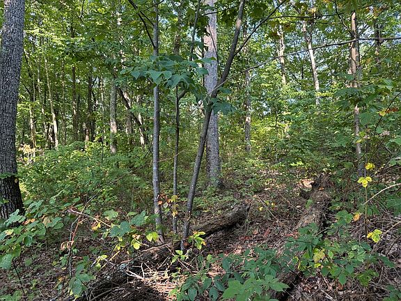 3rd image of 0 Trailwood Dr