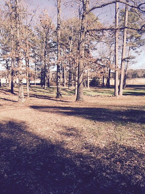 4.5 acre lot 