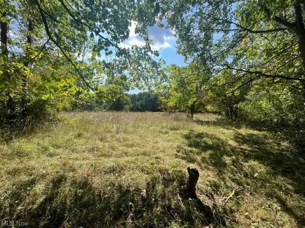 41853 Glasgow Rd, Lisbon, OH 44432