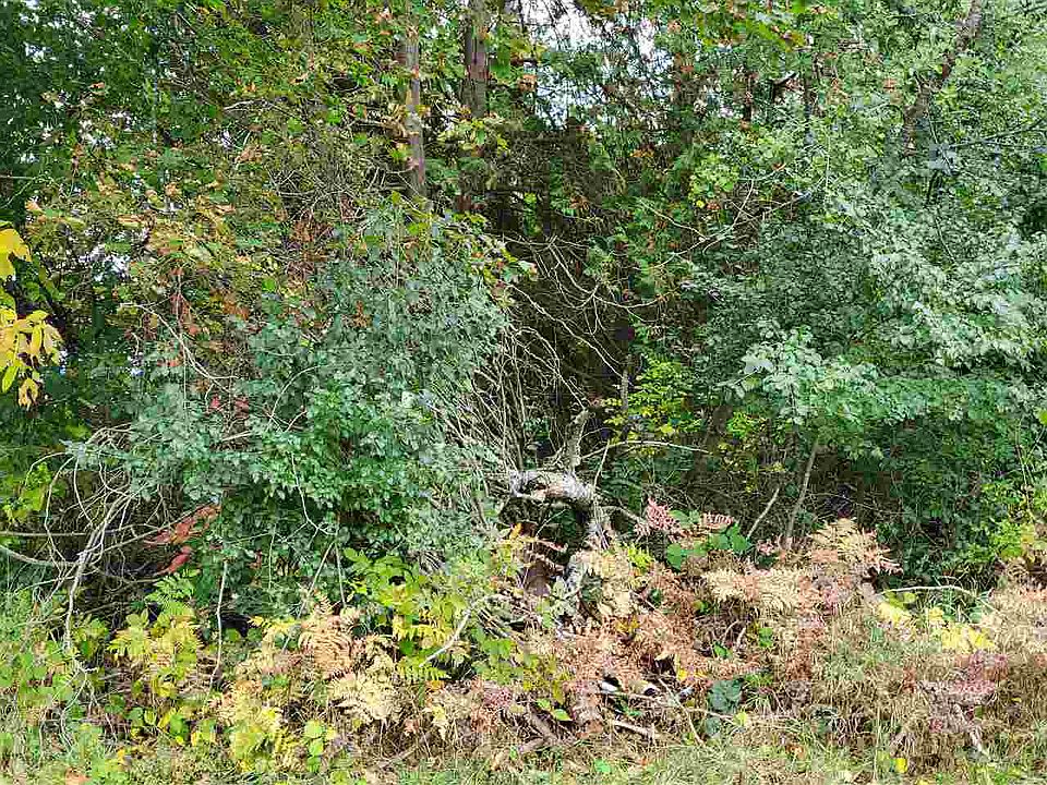 2nd image of 461 Lakewood Dr