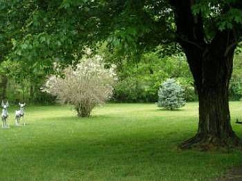 4th image of 167 Silver Creek Dr