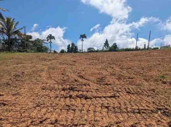 State Highway 765 Km #13.1, Caguas, PR 00725