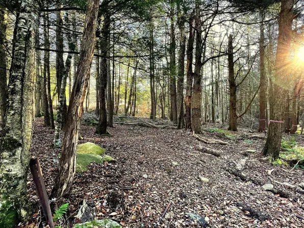 10 Bonny Rigg Hill Rd, Becket, MA 01223