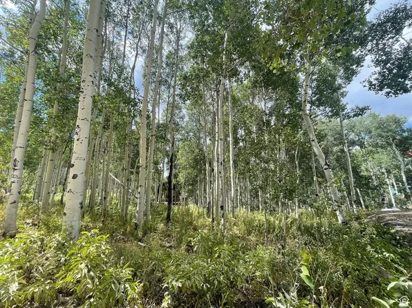 11485 E Violet Way, Heber, UT 84032