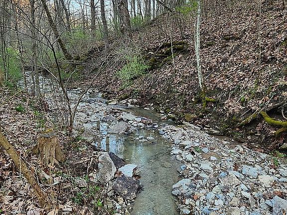 5th image of 3976 E Olean Rd