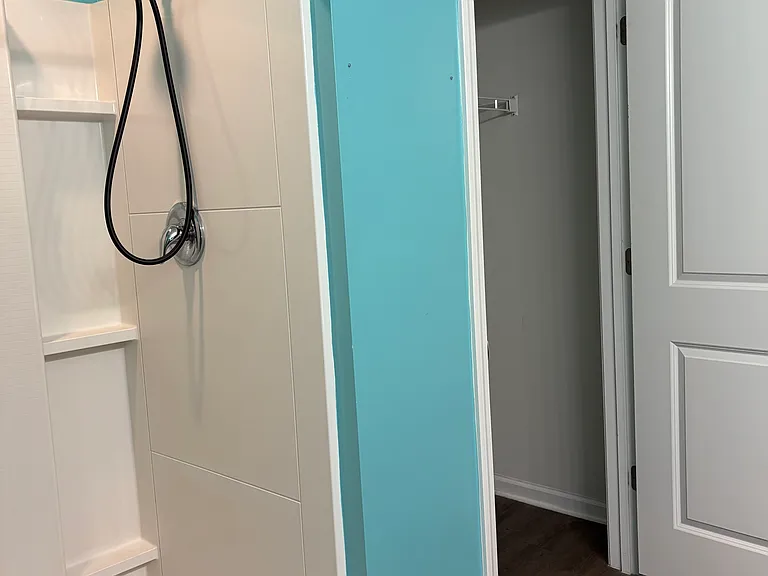 Master bath room shower with closet