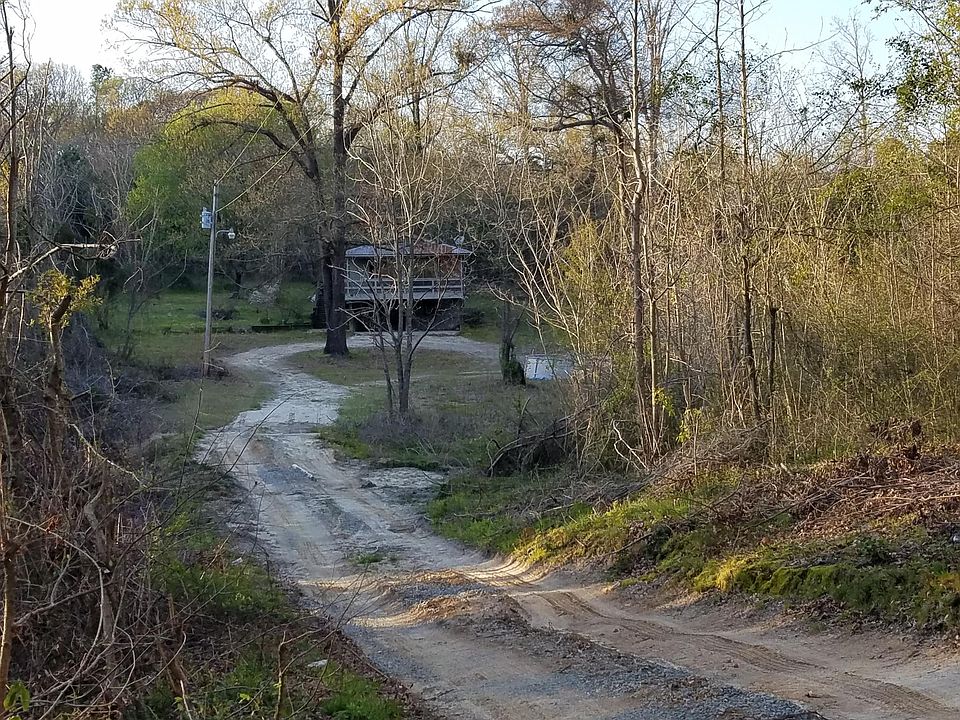 Path View Really in Woods!