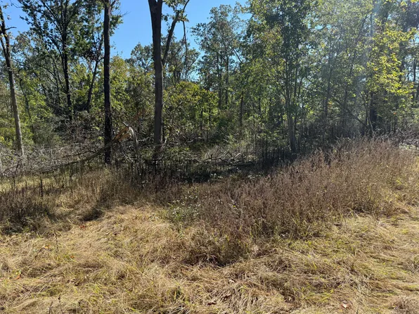 Lot #6 Builders Ln, Anderson, MO 64831