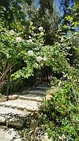 2445 Topanga Skyline Dr #A — Photo 14