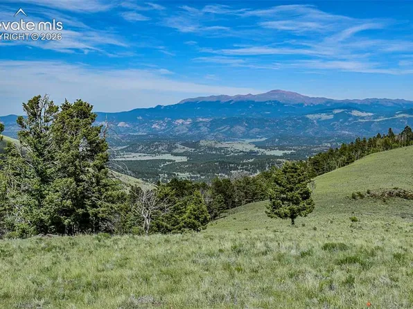 0 Bear Cat Rd, Guffey, CO 80820