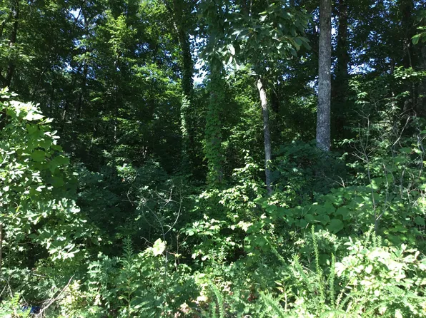 0 Luminary Firetower Rd, Spring City, TN 37381