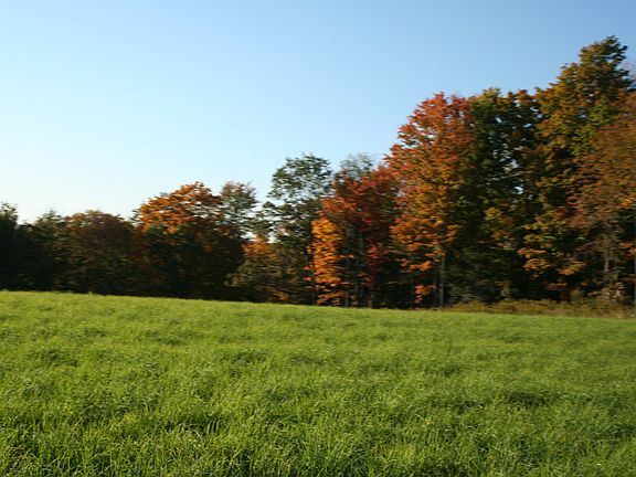 5th image of Pine Hill Road