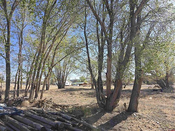 3rd image of 1035 8Th Street