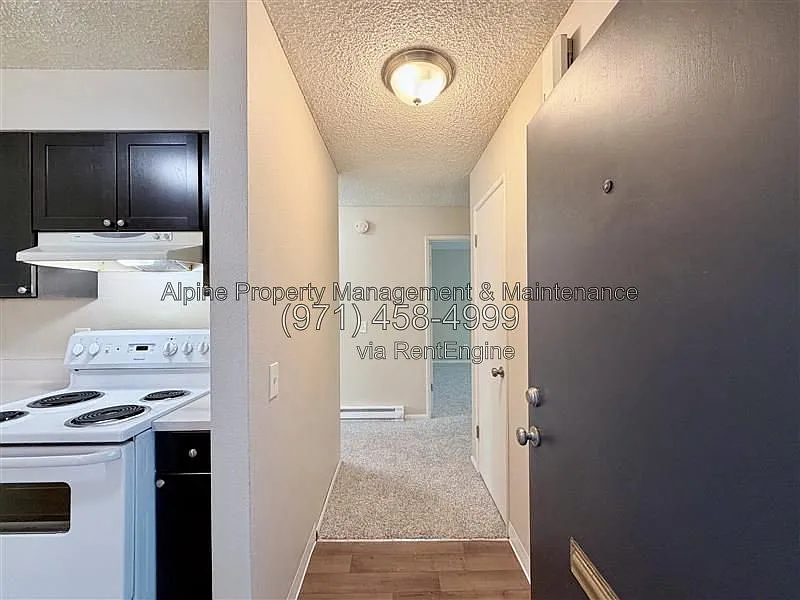 2 bed, 1.0 bath, 900 sqft, $1,350 — Photo 3