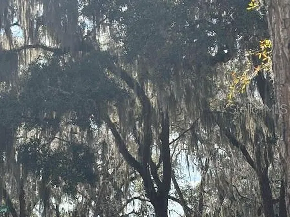 25146 NE 140th Loop Lot 71, Fort Mc Coy, FL 32134