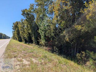 0 Highway 301 S, Jesup, GA, 31546