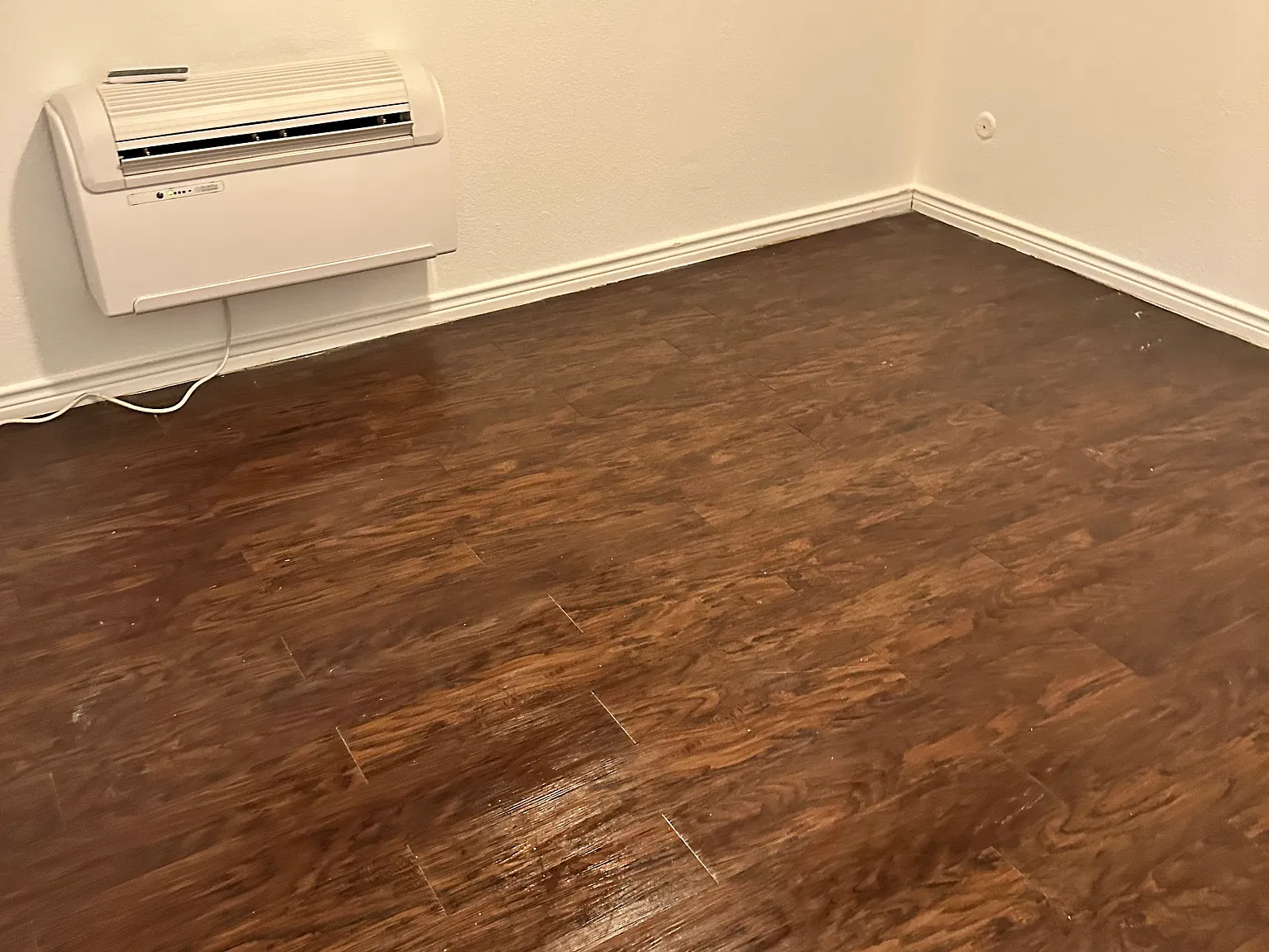 1 bed, 800 sqft, $970 — Photo 3