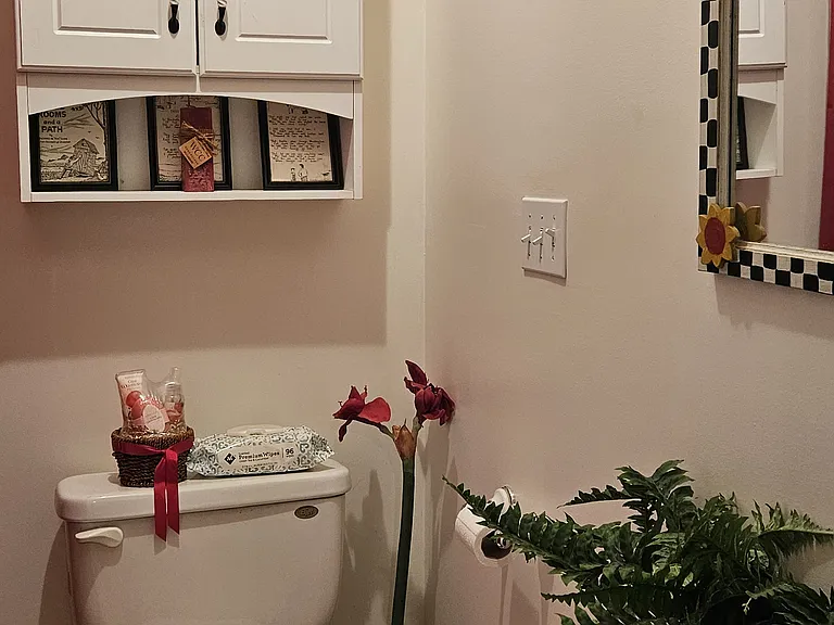61 Molly Ln — Photo 15