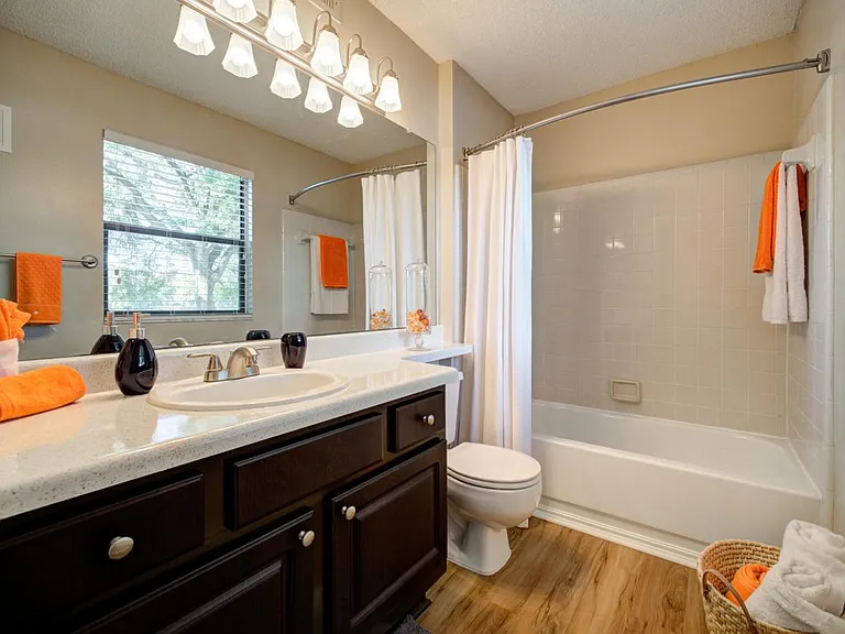 Grande Oasis at Carrollwood — Photo 18