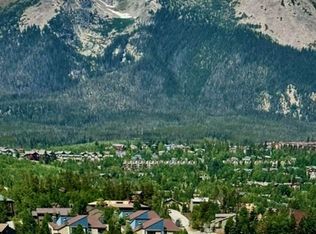 2414 Ryan Gulch Ct, Silverthorne, CO 80498